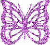 butterfly-desi-glitters-12