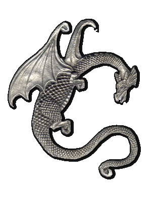 dragon-desi-glitters-12