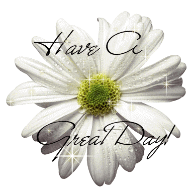 Good Day – Beautiful White Flower