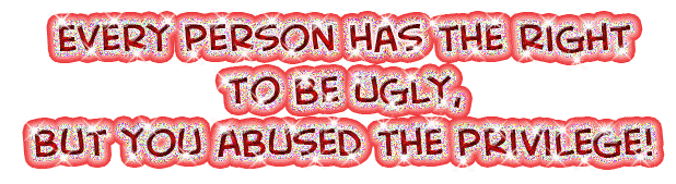 Insult Graphic – Right To Be Ugly