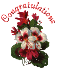 Congratulation With Flower Bouquet