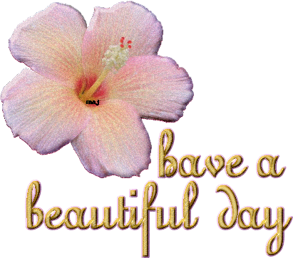 Have A Beautiful Day  Graphic