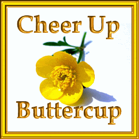 Cheer Up - Buttercup