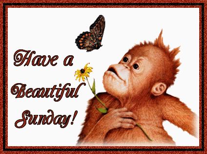 Have A Beautiful Sunday !