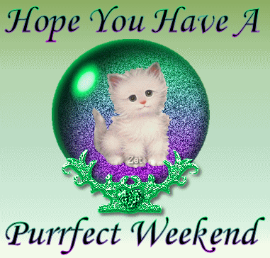 Hope You Have A Perfect Weekend-DG123018