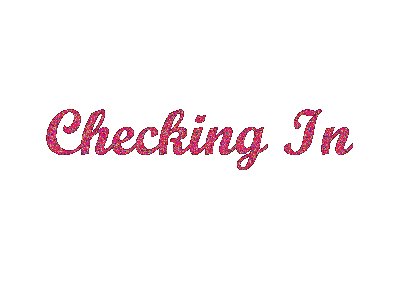 Pink Glitter Of Checking In-DG123171