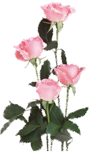 Brilliant Image Of Pink Roses