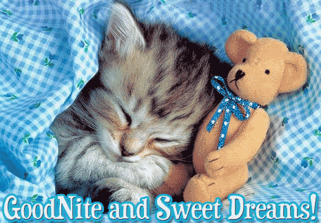 Good Night And Sweet Dreams !