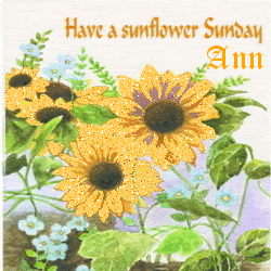 Have A Sunflower Sunday