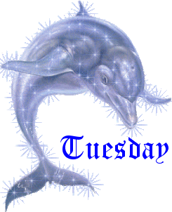 Sparkling Dolphin Tuesday Graphic